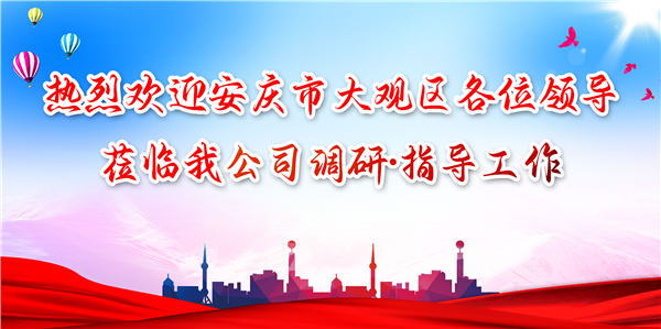 安慶市大觀區(qū)領導蒞臨我公司調(diào)研工作，為發(fā)展注入新動力